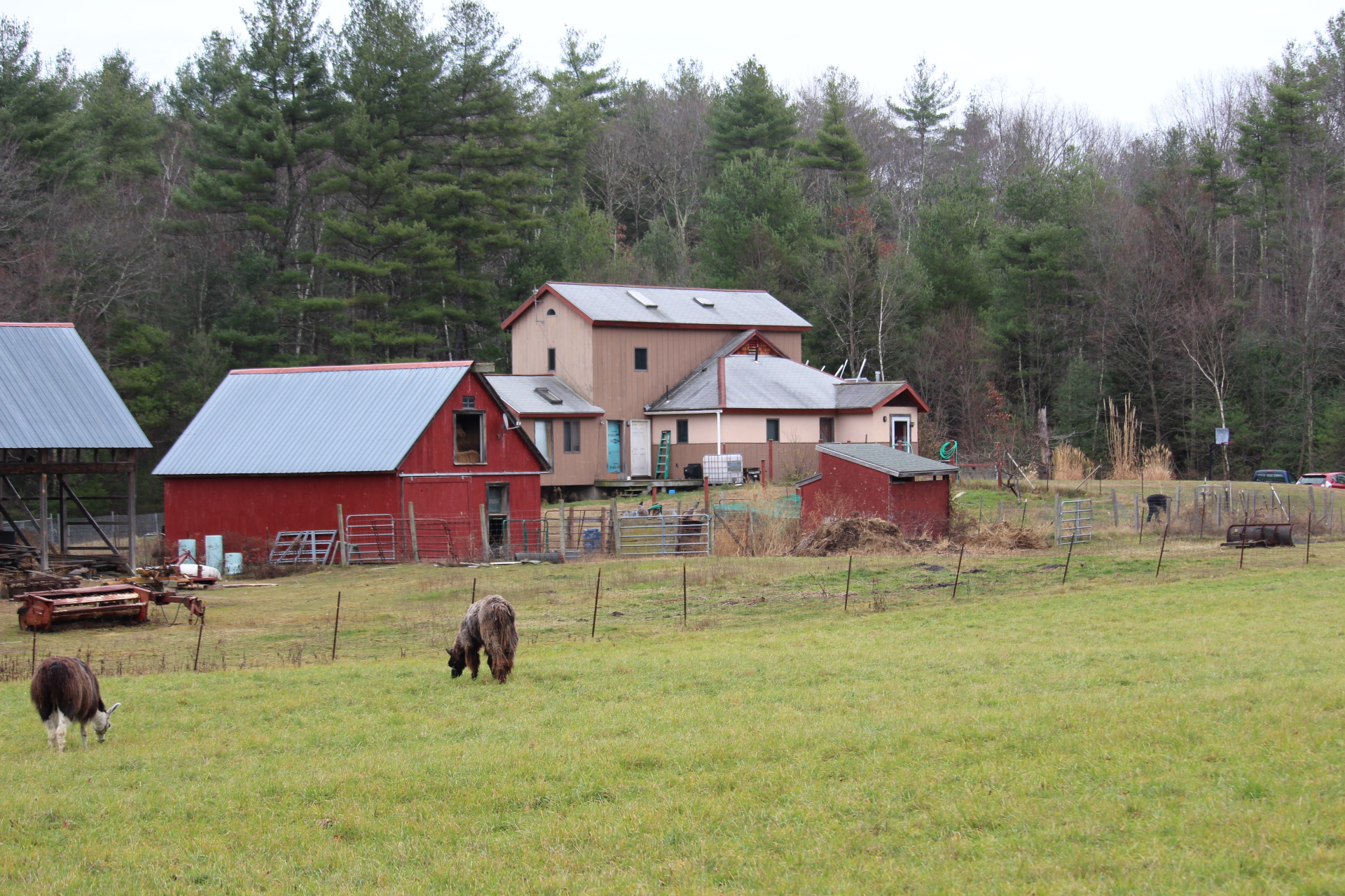 Starlight Llama Bed And Breakfast - Learn More About Us